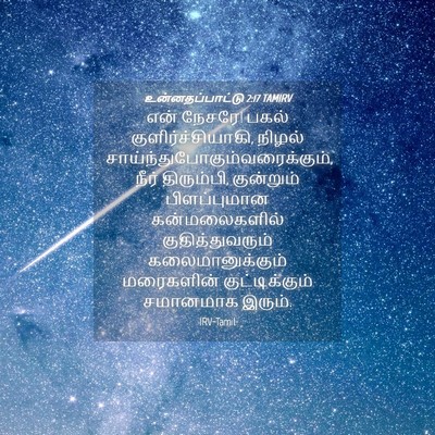 Picture 04 - உன்னதப்பாட்டு 2:17 TAMIRV - என் நேசரே! பகல் - Bible Verse Picture