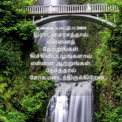 Picture 04 - உன்னதப்பாட்டு 2:5 TAMIRV - திராட்சைரசத்தால் - Bible Verse Picture