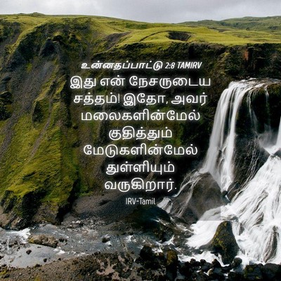 Picture 04 - உன்னதப்பாட்டு 2:8 TAMIRV - இது என் நேசருடைய - Bible Verse Picture