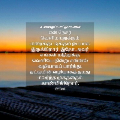 Picture 04 - உன்னதப்பாட்டு 2:9 TAMIRV - என் நேசர் - Bible Verse Picture
