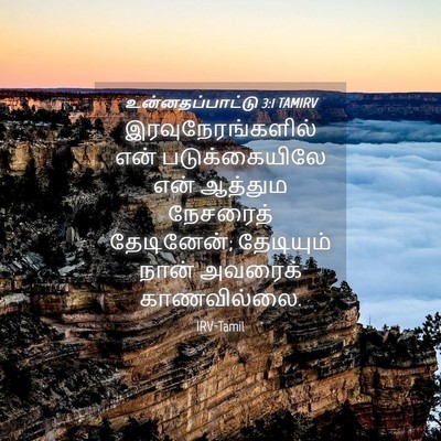 Picture 04 - உன்னதப்பாட்டு 3:1 TAMIRV - இரவுநேரங்களில் - Bible Verse Picture