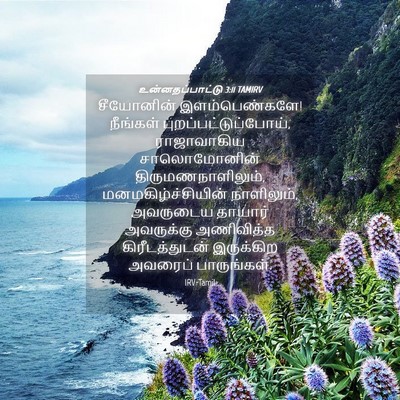 Picture 04 - உன்னதப்பாட்டு 3:11 TAMIRV - சீயோனின் - Bible Verse Picture