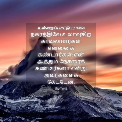 Picture 04 - உன்னதப்பாட்டு 3:3 TAMIRV - நகரத்திலே - Bible Verse Picture