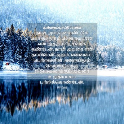 Picture 04 - உன்னதப்பாட்டு 3:4 TAMIRV - நான் - Bible Verse Picture