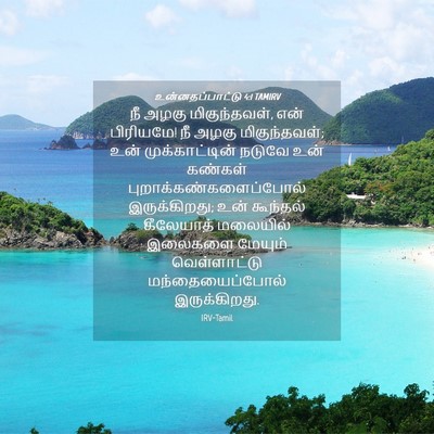 Picture 04 - உன்னதப்பாட்டு 4:1 TAMIRV - நீ அழகு - Bible Verse Picture
