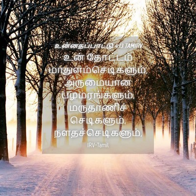 Picture 04 - உன்னதப்பாட்டு 4:13 TAMIRV - உன் தோட்டம் - Bible Verse Picture