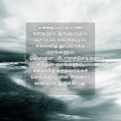 Picture 04 - உன்னதப்பாட்டு 4:14 TAMIRV - நளதமும், - Bible Verse Picture