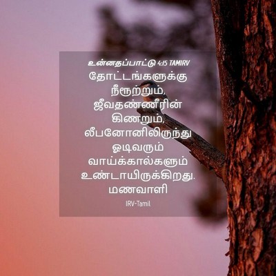 Picture 04 - உன்னதப்பாட்டு 4:15 TAMIRV - தோட்டங்களுக்கு - Bible Verse Picture