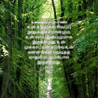 Picture 04 - உன்னதப்பாட்டு 4:3 TAMIRV - உன் உதடுகள் - Bible Verse Picture
