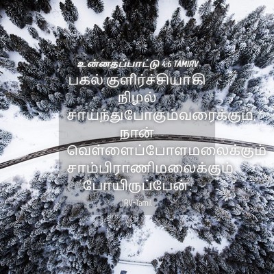 Picture 04 - உன்னதப்பாட்டு 4:6 TAMIRV - பகல் - Bible Verse Picture