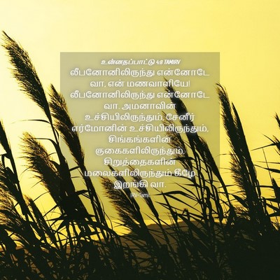 Picture 04 - உன்னதப்பாட்டு 4:8 TAMIRV - லீபனோனிலிருந்து - Bible Verse Picture