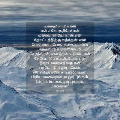 Picture 04 - உன்னதப்பாட்டு 5:1 TAMIRV - என் சகோதரியே! என் - Bible Verse Picture
