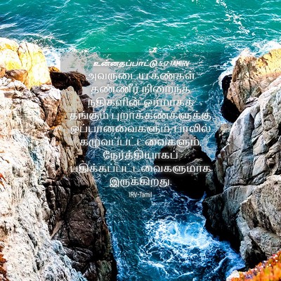 Picture 04 - உன்னதப்பாட்டு 5:12 TAMIRV - அவருடைய கண்கள் - Bible Verse Picture