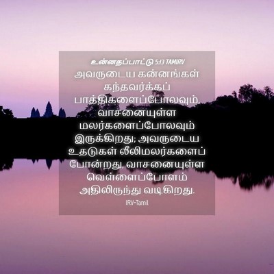 Picture 04 - உன்னதப்பாட்டு 5:13 TAMIRV - அவருடைய கன்னங்கள் - Bible Verse Picture