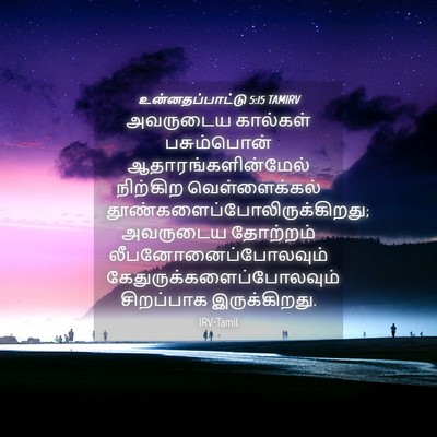 Picture 04 - உன்னதப்பாட்டு 5:15 TAMIRV - அவருடைய கால்கள் - Bible Verse Picture