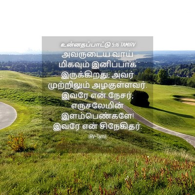 Picture 04 - உன்னதப்பாட்டு 5:16 TAMIRV - அவருடைய வாய் - Bible Verse Picture