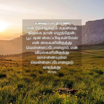Picture 04 - உன்னதப்பாட்டு 5:5 TAMIRV - என் நேசருக்குக் - Bible Verse Picture
