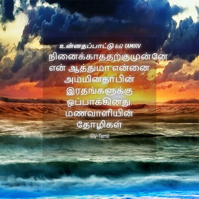 Picture 04 - உன்னதப்பாட்டு 6:12 TAMIRV -  - Bible Verse Picture