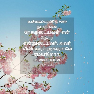 Picture 04 - உன்னதப்பாட்டு 6:3 TAMIRV - நான் என் - Bible Verse Picture