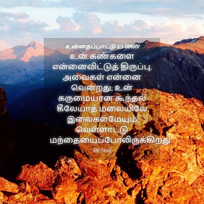 Picture 04 - உன்னதப்பாட்டு 6:5 TAMIRV - உன் கண்களை - Bible Verse Picture