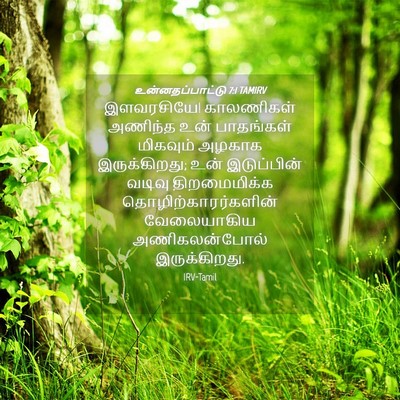 Picture 04 - உன்னதப்பாட்டு 7:1 TAMIRV - இளவரசியே! - Bible Verse Picture
