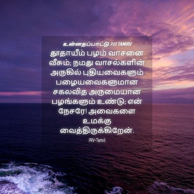 Picture 04 - உன்னதப்பாட்டு 7:13 TAMIRV - தூதாயீம் பழம் - Bible Verse Picture