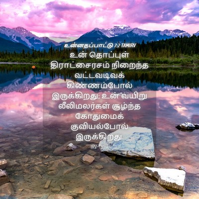 Picture 04 - உன்னதப்பாட்டு 7:2 TAMIRV - உன் தொப்புள் - Bible Verse Picture