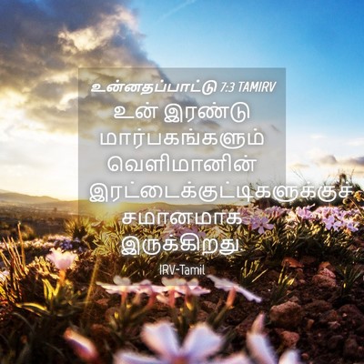 Picture 04 - உன்னதப்பாட்டு 7:3 TAMIRV - உன் இரண்டு - Bible Verse Picture