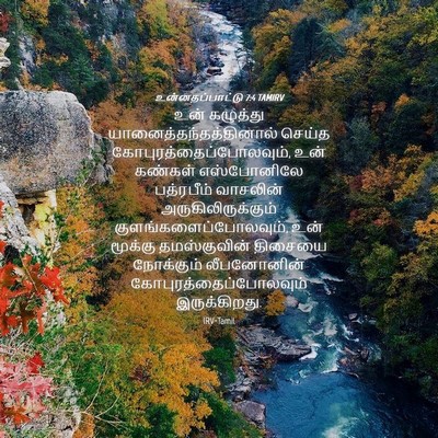 Picture 04 - உன்னதப்பாட்டு 7:4 TAMIRV - உன் கழுத்து - Bible Verse Picture
