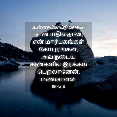 Picture 04 - உன்னதப்பாட்டு 8:10 TAMIRV - நான் மதில்தான், - Bible Verse Picture