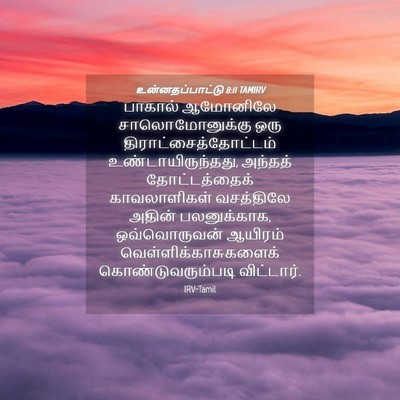 Picture 04 - உன்னதப்பாட்டு 8:11 TAMIRV - பாகால் ஆமோனிலே - Bible Verse Picture