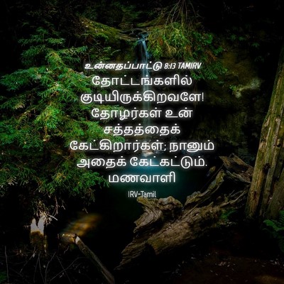 Picture 04 - உன்னதப்பாட்டு 8:13 TAMIRV - தோட்டங்களில் - Bible Verse Picture