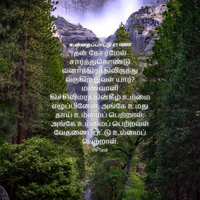 Picture 04 - உன்னதப்பாட்டு 8:5 TAMIRV - தன் நேசர்மேல் - Bible Verse Picture