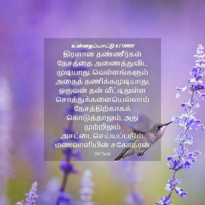 Picture 04 - உன்னதப்பாட்டு 8:7 TAMIRV - திரளான தண்ணீர்கள் - Bible Verse Picture