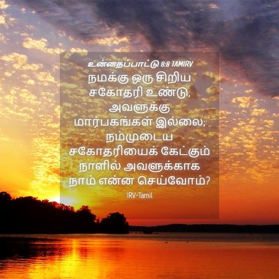 Picture 04 - உன்னதப்பாட்டு 8:8 TAMIRV - நமக்கு ஒரு சிறிய - Bible Verse Picture