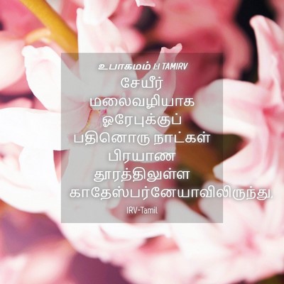Picture 04 - உபாகமம் 1:1 TAMIRV - சேயீர் மலைவழியாக - Bible Verse Picture