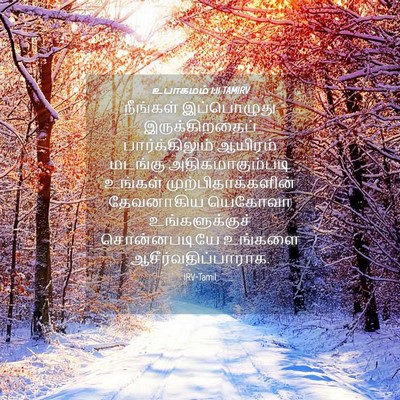 Picture 04 - உபாகமம் 1:11 TAMIRV - நீங்கள் இப்பொழுது - Bible Verse Picture