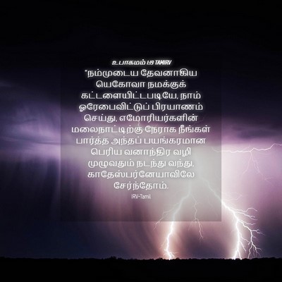 Picture 04 - உபாகமம் 1:19 TAMIRV - “நம்முடைய - Bible Verse Picture
