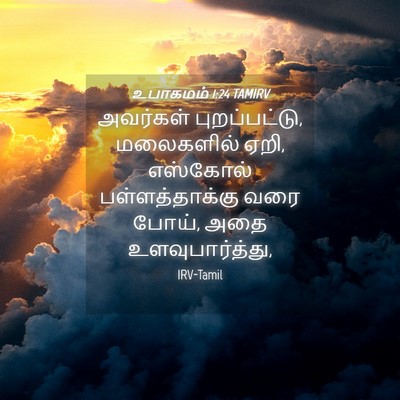 Picture 04 - உபாகமம் 1:24 TAMIRV - அவர்கள் - Bible Verse Picture