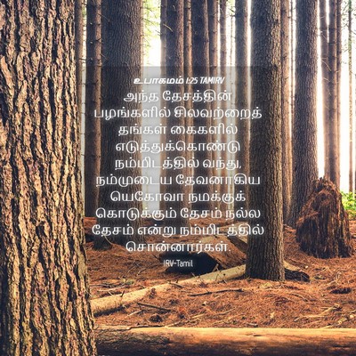 Picture 04 - உபாகமம் 1:25 TAMIRV - அந்த தேசத்தின் - Bible Verse Picture