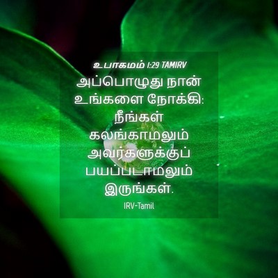 Picture 04 - உபாகமம் 1:29 TAMIRV - அப்பொழுது நான் - Bible Verse Picture