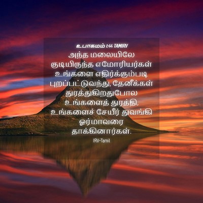 Picture 04 - உபாகமம் 1:44 TAMIRV - அந்த மலையிலே - Bible Verse Picture