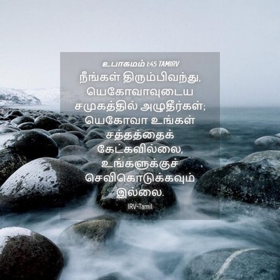 Picture 04 - உபாகமம் 1:45 TAMIRV - நீங்கள் - Bible Verse Picture