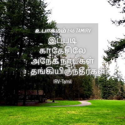 Picture 04 - உபாகமம் 1:46 TAMIRV - இப்படி காதேசிலே - Bible Verse Picture