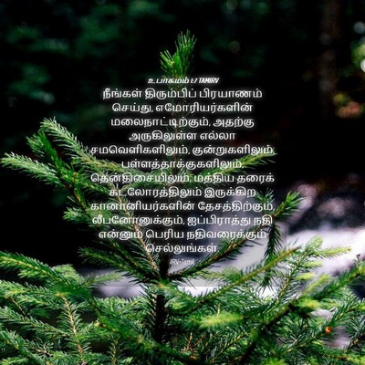 Picture 04 - உபாகமம் 1:7 TAMIRV - நீங்கள் - Bible Verse Picture