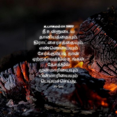 Picture 04 - உபாகமம் 11:14 TAMIRV - நீ உன்னுடைய - Bible Verse Picture