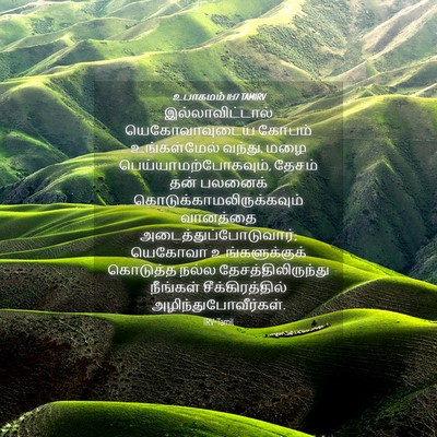 Picture 04 - உபாகமம் 11:17 TAMIRV - இல்லாவிட்டால் - Bible Verse Picture