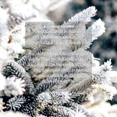 Picture 04 - உபாகமம் 11:20 TAMIRV - அவைகளை உங்கள் - Bible Verse Picture