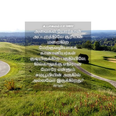 Picture 04 - உபாகமம் 11:30 TAMIRV - அவைகள் யோர்தான் - Bible Verse Picture