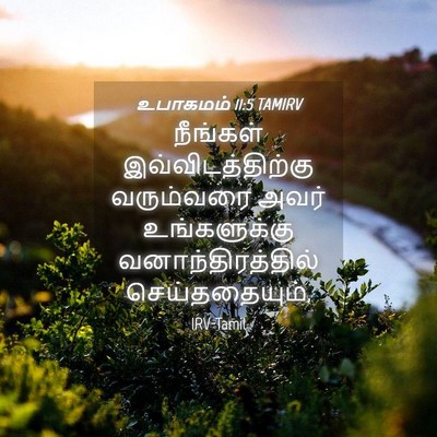 Picture 04 - உபாகமம் 11:5 TAMIRV - நீங்கள் - Bible Verse Picture